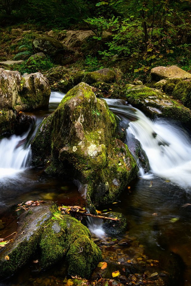 Обои вода, река, камни, ручей, мох, water, river, stones, stream, moss разрешение 3840x2559 Загрузить