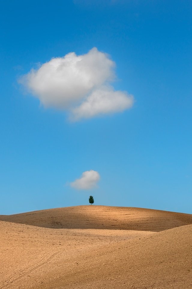 Обои облака, дерево, поле, тоскана, clouds, tree, field, tuscany разрешение 2500x1668 Загрузить