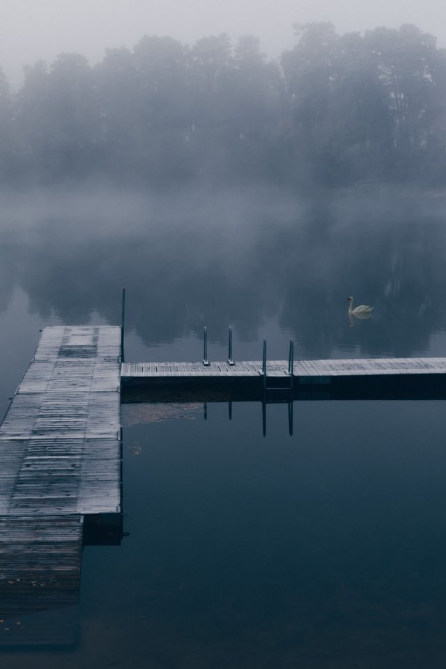 Обои озеро, туман, причал, лебедь, lake, fog, pier, swan разрешение 2112x1188 Загрузить