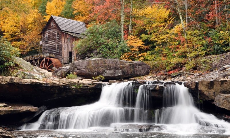 Обои лес, водопад, осень, мельница, западная вирджиния, babcock state park, forest, waterfall, autumn, mill, west virginia разрешение 2560x1600 Загрузить