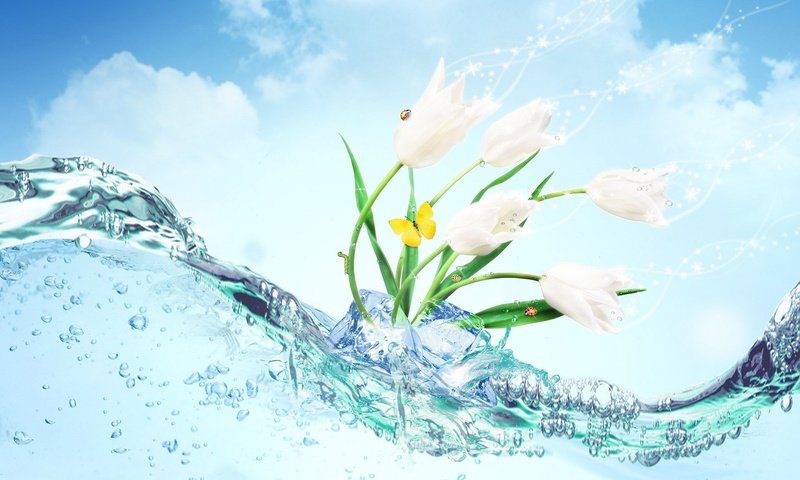 Обои цветы, вода, бабочка, лёд, flowers, water, butterfly, ice разрешение 1920x1200 Загрузить