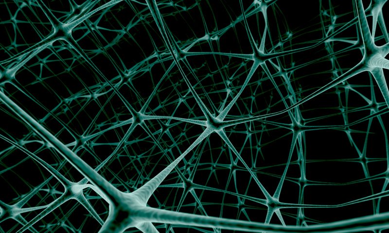 Обои нейроны, сеть, связь, neurons, network, link разрешение 2400x1800 Загрузить