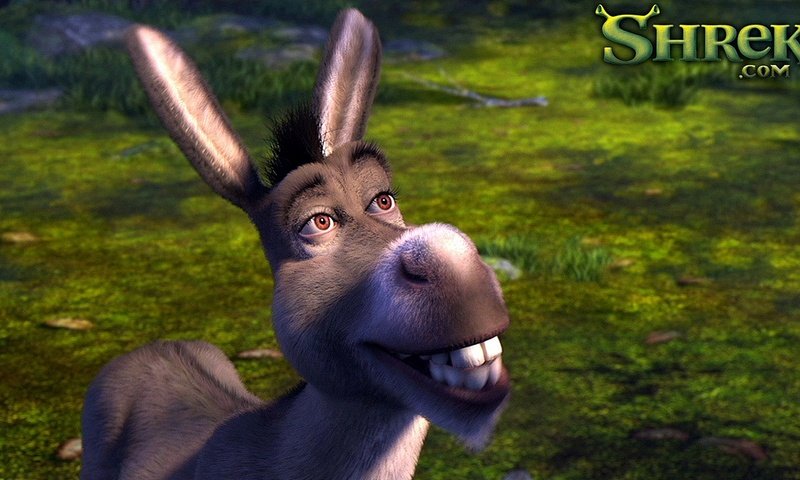 Обои осел, шрек, donkey, shrek разрешение 1920x1080 Загрузить