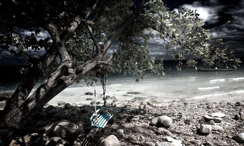 Обои дерево, камни, берег, качели, tree, stones, shore, swing разрешение 1920x1200 Загрузить