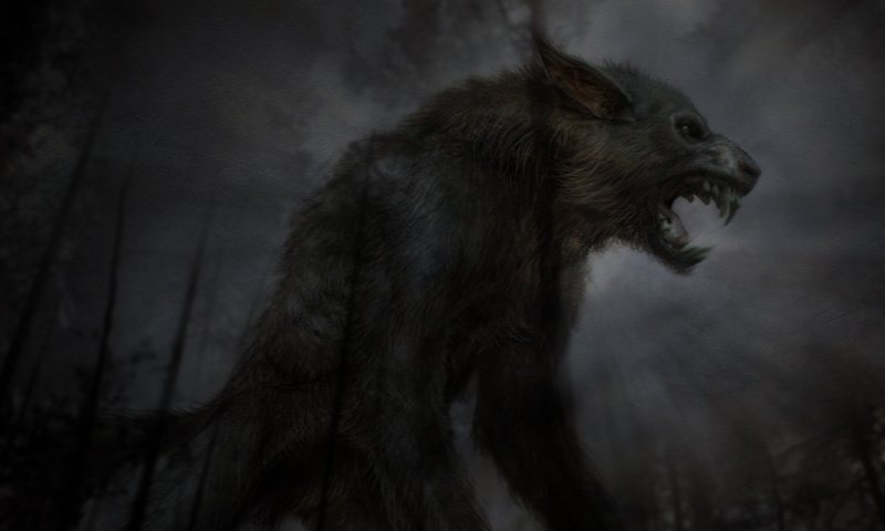 Обои ночь, лес, сумерки, ликантроп, night, forest, twilight, lycanthrope разрешение 1920x1200 Загрузить