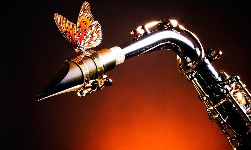 Обои бабочка, крылья, саксофон, butterfly, wings, saxophone разрешение 1920x1200 Загрузить