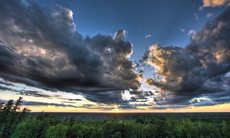 Обои небо, облака, лес, the sky, clouds, forest разрешение 1920x1200 Загрузить