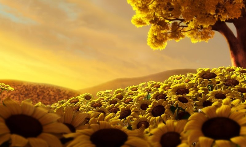 Обои небо, дерево, поле, подсолнухи, the sky, tree, field, sunflowers разрешение 1920x1080 Загрузить