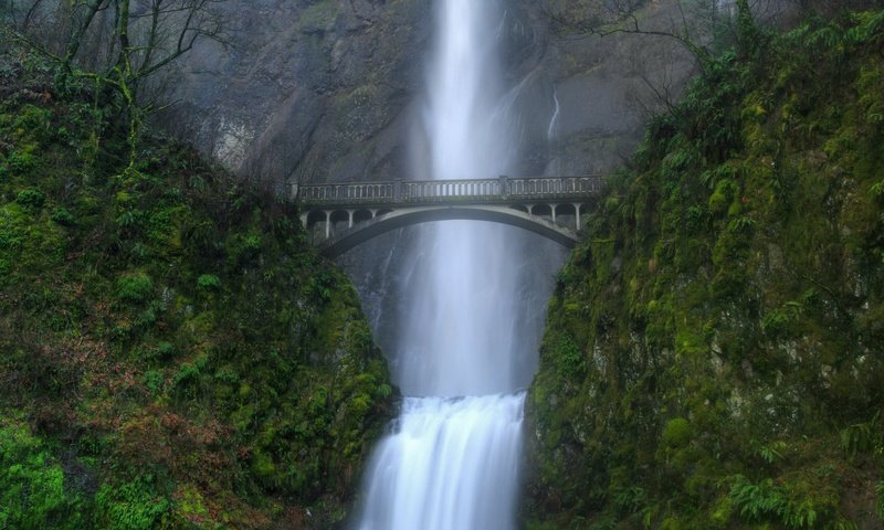 Обои зелёный, мост, водопад, green, bridge, waterfall разрешение 1920x1200 Загрузить
