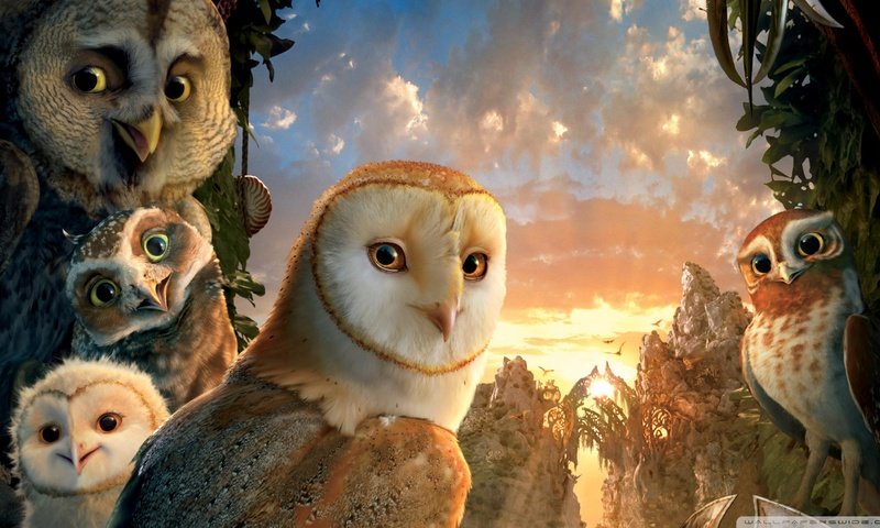 Обои сова, легенды ночных стражей, legend of the guardians: the owls of ga’hoole, совы, owl, legend of the guardians, legend of the guardians: the owls of ga hoole, owls разрешение 1920x1080 Загрузить