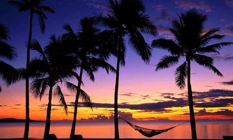 Обои вечер, берег, закат, пальмы, гамак, denarau island, fiji, the evening, shore, sunset, palm trees, hammock разрешение 1999x1333 Загрузить