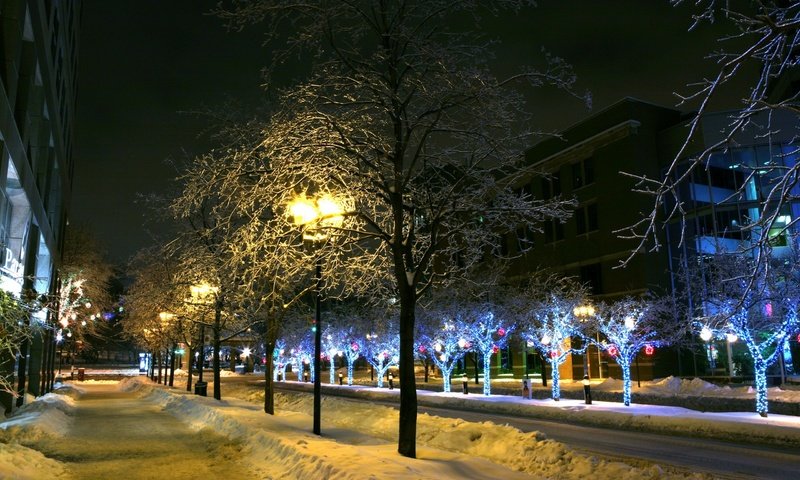 Обои деревья, фонари, огни, снег, зима, город, trees, lights, snow, winter, the city разрешение 2560x1600 Загрузить