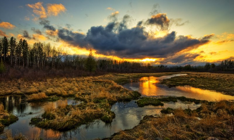 Обои трава, природа, болото, закат, тучи, grass, nature, swamp, sunset, clouds разрешение 2560x1600 Загрузить