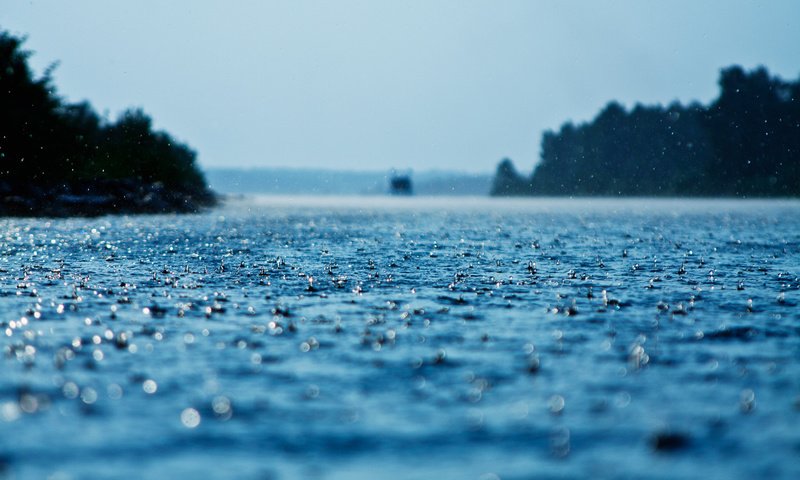 Обои вода, капли, дождь, поверхность, осадки, water, drops, rain, surface разрешение 1920x1200 Загрузить