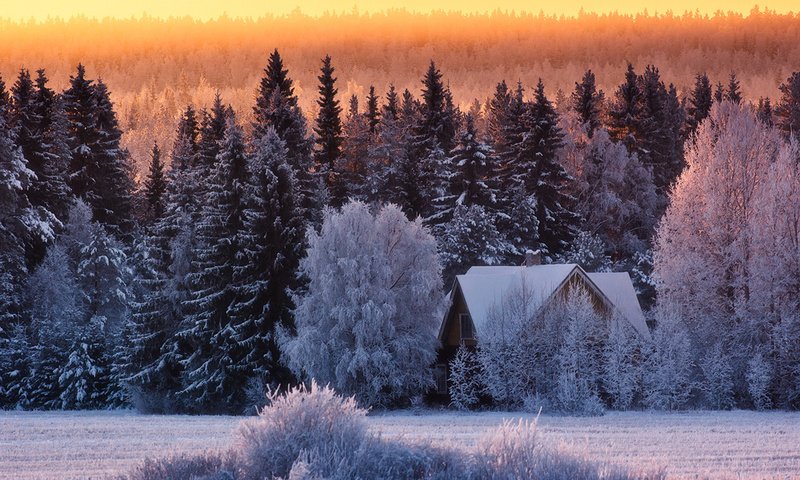 Обои природа, лес, зима, дом, nature, forest, winter, house разрешение 1920x1200 Загрузить