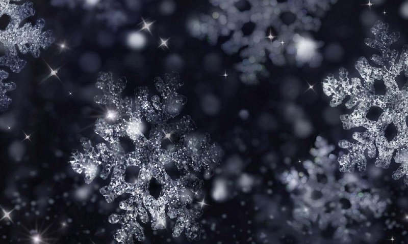 Обои снег, зима, макро, снежинки, снежинка, snow, winter, macro, snowflakes, snowflake разрешение 1920x1200 Загрузить