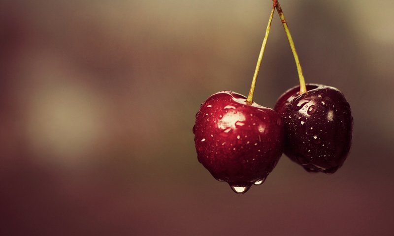 Обои ягода, еда, черешня, вишня, две, капли воды, berry, food, cherry, two, water drops разрешение 1920x1080 Загрузить