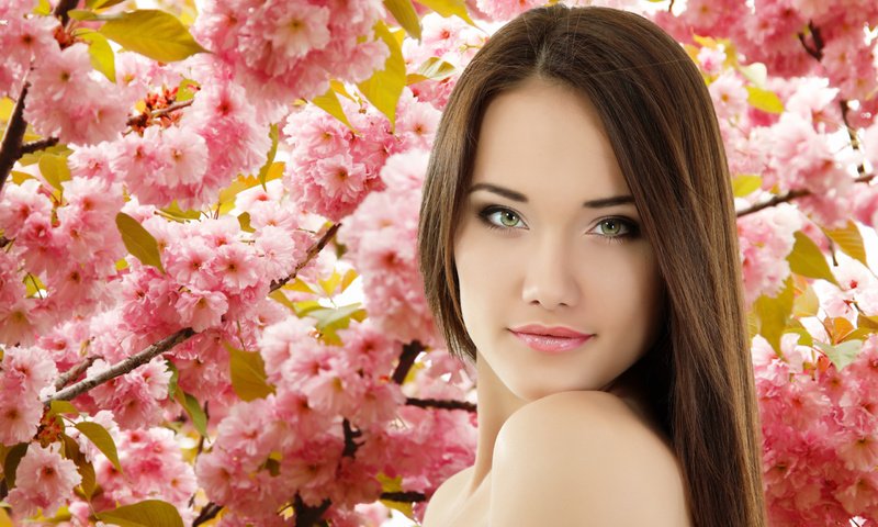 Обои цветы, дерево, девушка, брюнетка, весна, розовый, сакура, красивая, flowers, tree, girl, brunette, spring, pink, sakura, beautiful разрешение 2560x1707 Загрузить