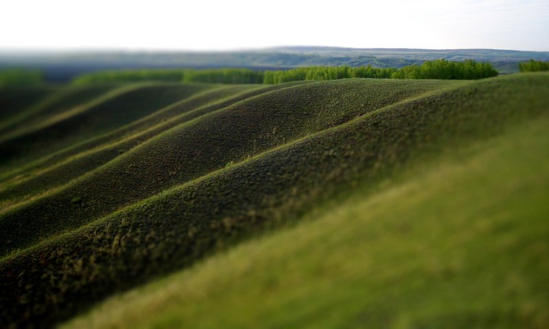 Обои трава, природа, зелень, поле, размытость, холм, grass, nature, greens, field, blur, hill разрешение 1920x1080 Загрузить