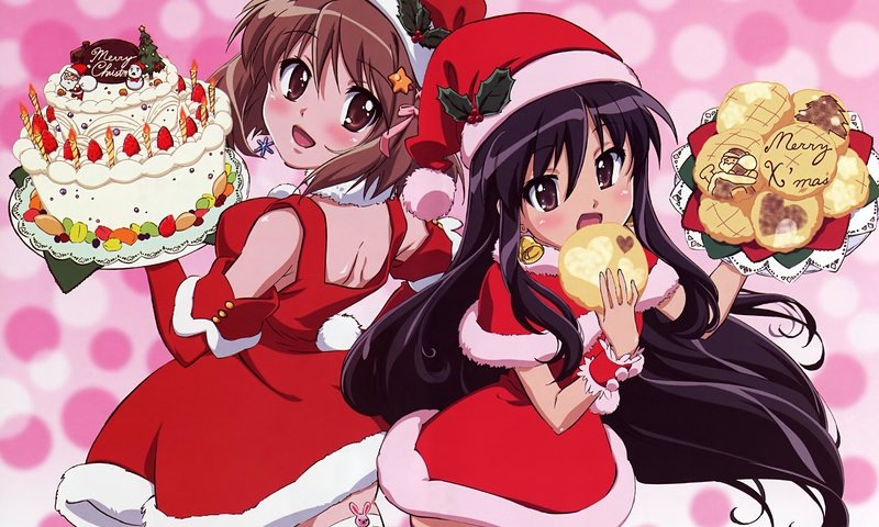 Обои shakugan no shana, shana, thighhighs, scan, 2girls, santa costume, santa hat, yoshida kazumi, румяна, елочная, blush, christmas разрешение 5165x3533 Загрузить