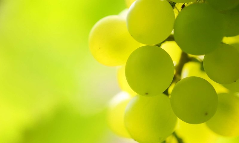 Обои свет, макро, виноград, гроздь, виноградная гроздь, light, macro, grapes, bunch, a bunch of grapes разрешение 1920x1200 Загрузить