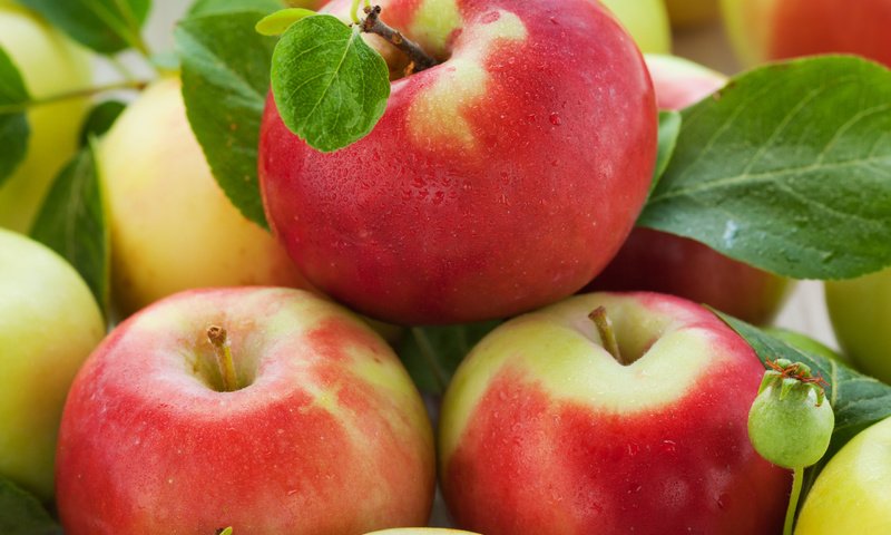 Обои листья, фрукты, яблоки, плоды, leaves, fruit, apples разрешение 2560x1600 Загрузить