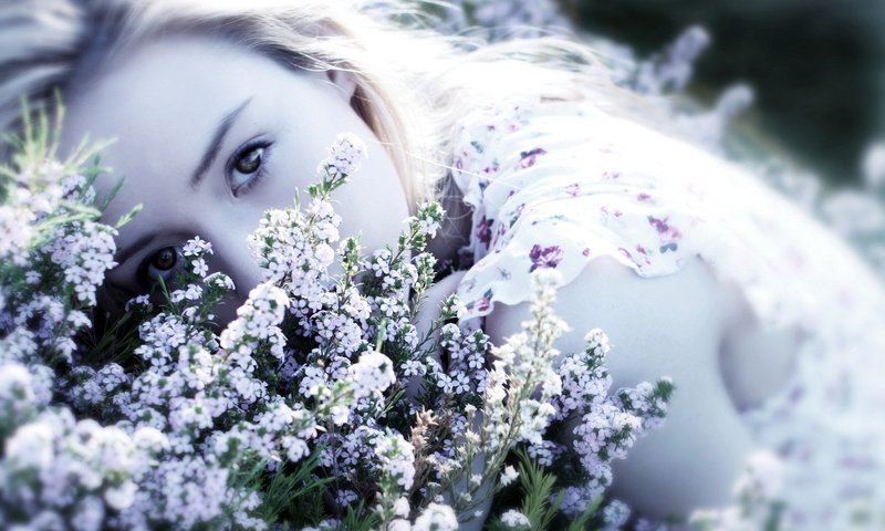 Обои цветы, девушка, блондинка, взгляд, лицо, полевые цветы, flowers, girl, blonde, look, face, wildflowers разрешение 1920x1200 Загрузить