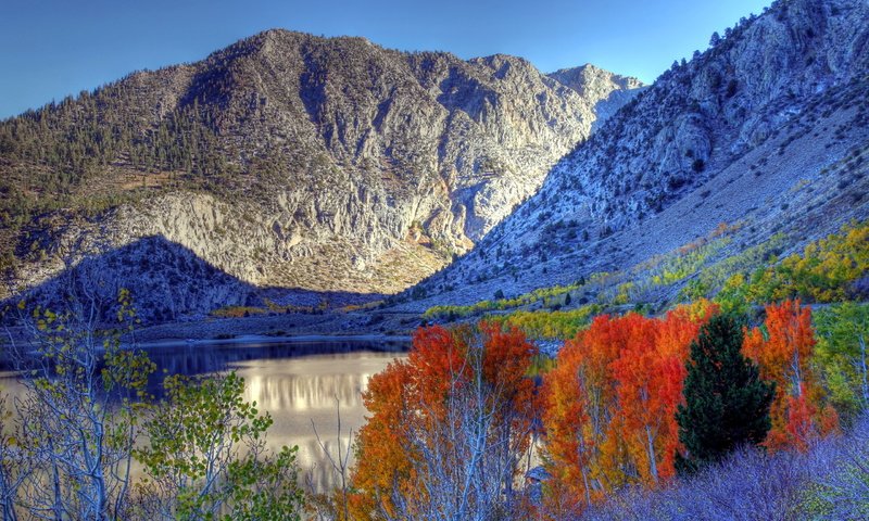 Обои деревья, озеро, горы, пейзаж, осень, trees, lake, mountains, landscape, autumn разрешение 2560x1600 Загрузить
