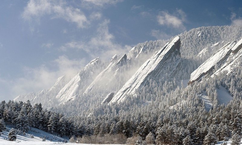 Обои деревья, горы, снег, зима, trees, mountains, snow, winter разрешение 1920x1080 Загрузить