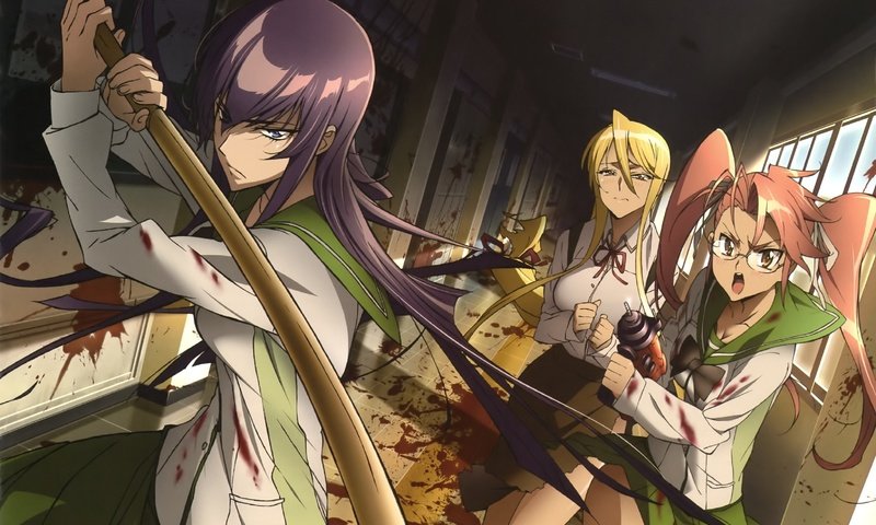 Обои highschool of the dead, sayeko busudzima, saya разрешение 3291x2388 Загрузить