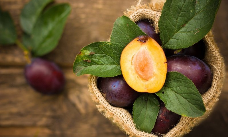 Обои листья, фрукты, сливы, мешковина, половинка, leaves, fruit, plum, burlap, half разрешение 1920x1200 Загрузить