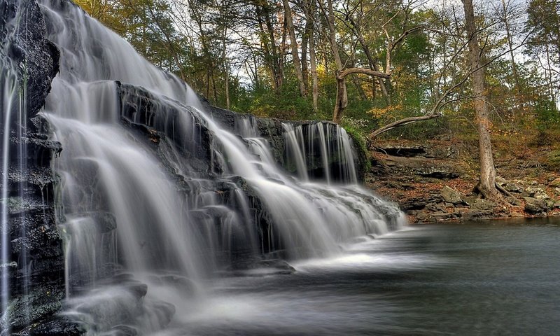 Обои водопад в лесу, waterfall in the forest разрешение 2560x1440 Загрузить