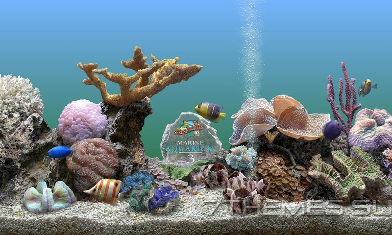 Обои fishy aquarium 3d разрешение 1946x1094 Загрузить