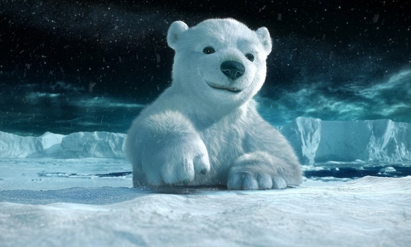 Обои белый медвежонок, white bear разрешение 1920x1200 Загрузить