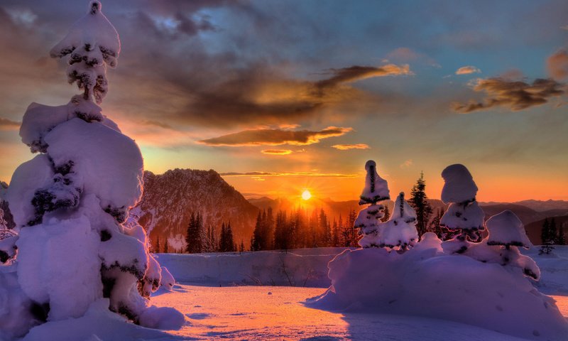 Обои солнце, снег, лес, закат, зима, the sun, snow, forest, sunset, winter разрешение 1920x1200 Загрузить