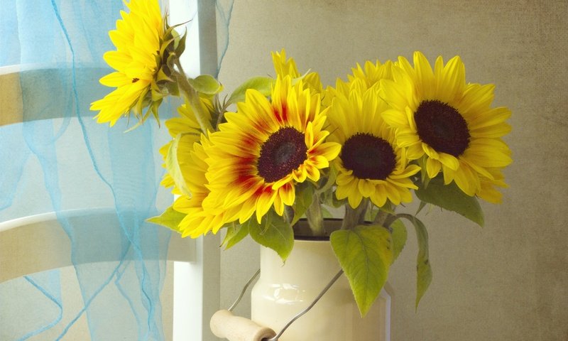 Обои цветы, лепестки, подсолнух, букет, окно, желтые, бидон, flowers, petals, sunflower, bouquet, window, yellow, cans разрешение 3456x2402 Загрузить