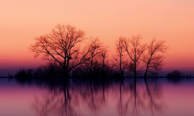 Обои небо, деревья, вода, озеро, закат, отражение, осень, the sky, trees, water, lake, sunset, reflection, autumn разрешение 1920x1200 Загрузить