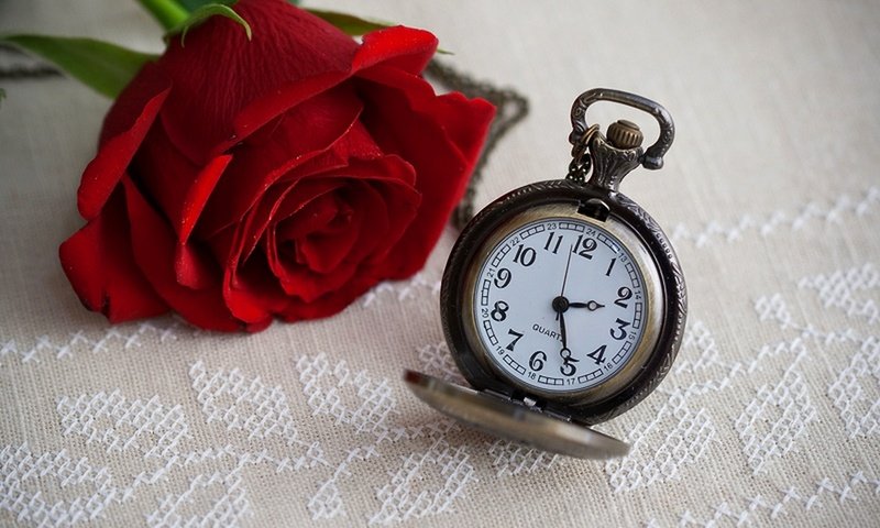 Обои цветок, роза, часы, время, времени, циферблат, цветком, clock, flower, rose, watch, time, dial разрешение 1920x1282 Загрузить