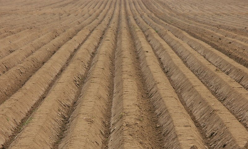 Обои земля, поле, пашня, пахота, earth, field, arable land, plowing разрешение 1920x1080 Загрузить