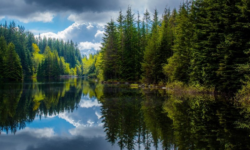 Обои озеро, лес, отражения, весна, канада, британская колумбия, lake, forest, reflection, spring, canada, british columbia разрешение 2048x1151 Загрузить