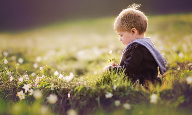 Обои цветы, трава, лето, дети, ребенок, мальчик, flowers, grass, summer, children, child, boy разрешение 1920x1280 Загрузить