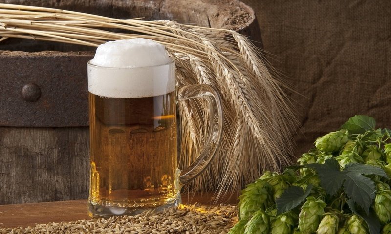 Обои колосья, кружка, пиво, пена, ячмень, хмель, бочонок, ears, mug, beer, foam, barley, hops, barrel разрешение 1920x1480 Загрузить