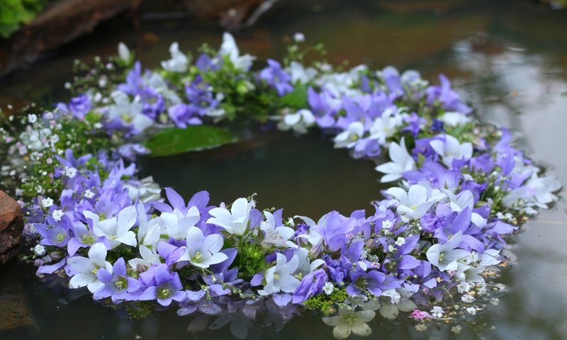 Обои цветы, вода, белые, колокольчики, венок, сиреневые, flowers, water, white, bells, wreath, lilac разрешение 1920x1280 Загрузить