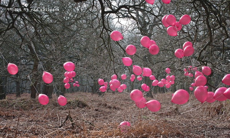 Обои деревья, шары, фон, trees, balls, background разрешение 2046x1114 Загрузить