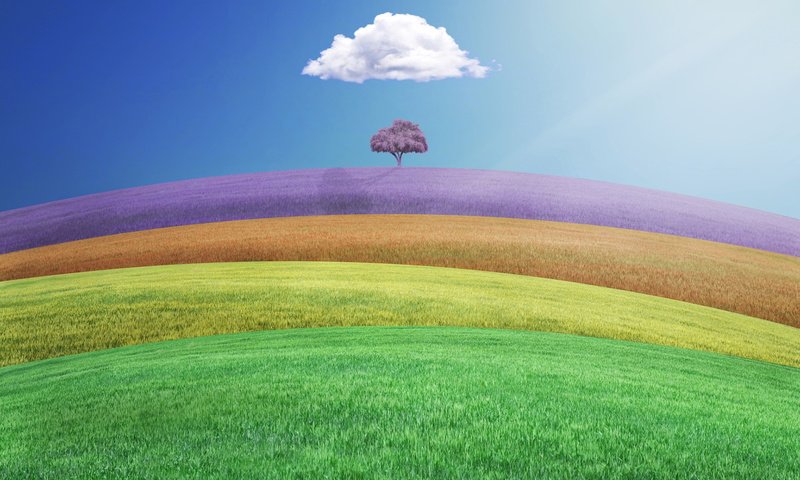 Обои дерево, пейзаж, поле, рендер, 3д, tree, landscape, field, render, 3d разрешение 1920x1200 Загрузить