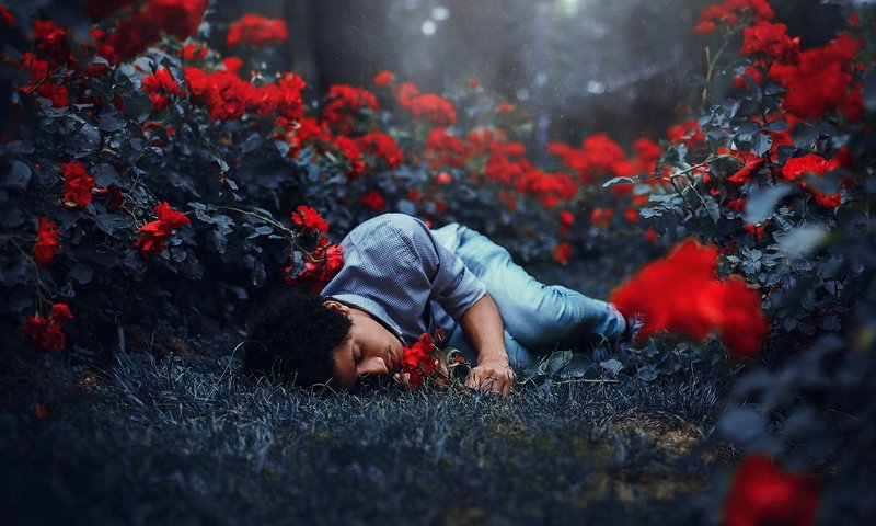 Обои цветы, фон, парень, сон, человек, мужчина, спящий, flowers, background, guy, sleep, people, male разрешение 2048x1365 Загрузить