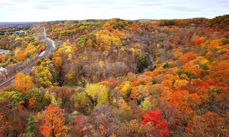 Обои дорога, деревья, река, рельсы, лес, осень, канада, онтарио, road, trees, river, rails, forest, autumn, canada, ontario разрешение 2048x1133 Загрузить