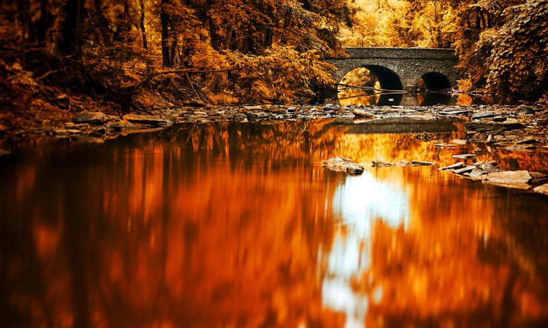 Обои озеро, река, лес, отражение, мост, осень, lake, river, forest, reflection, bridge, autumn разрешение 2048x1365 Загрузить