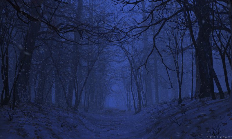 Обои ночь, природа, лес, рендеринг, 3д, night, nature, forest, rendering, 3d разрешение 2880x1800 Загрузить