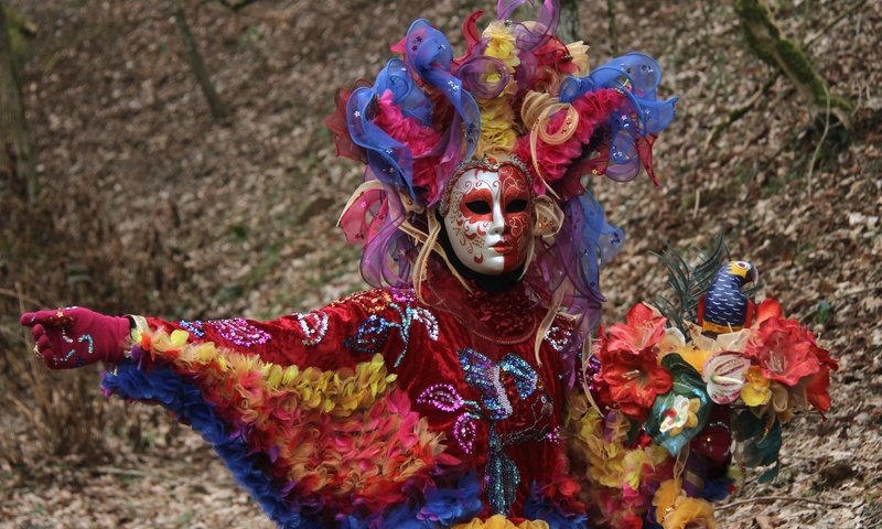 Обои маска, венеция, костюм, попугай, карнавал, mask, venice, costume, parrot, carnival разрешение 2400x1511 Загрузить